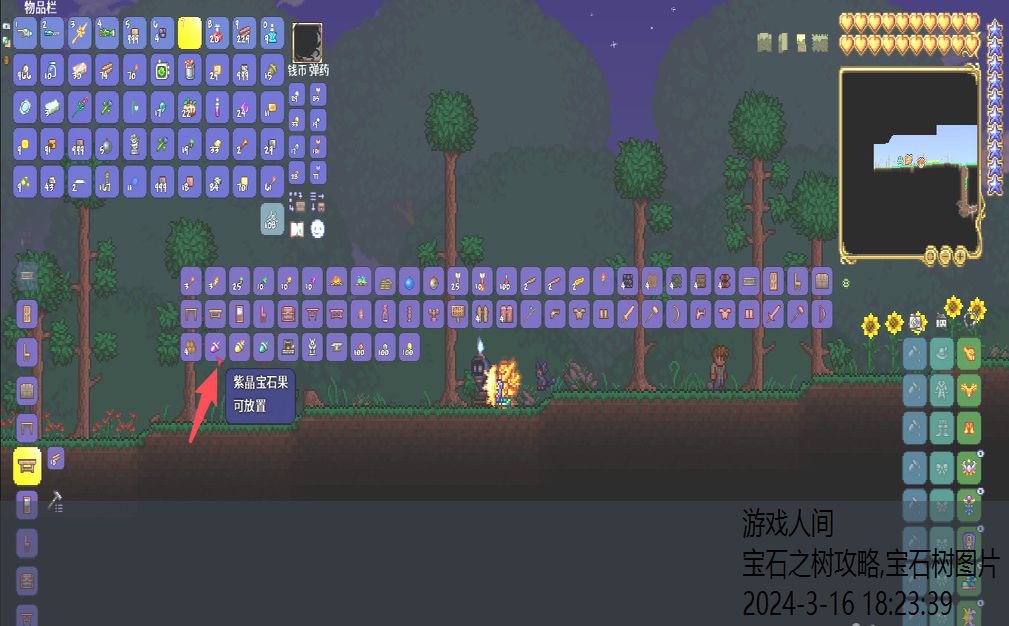 宝石树图片
