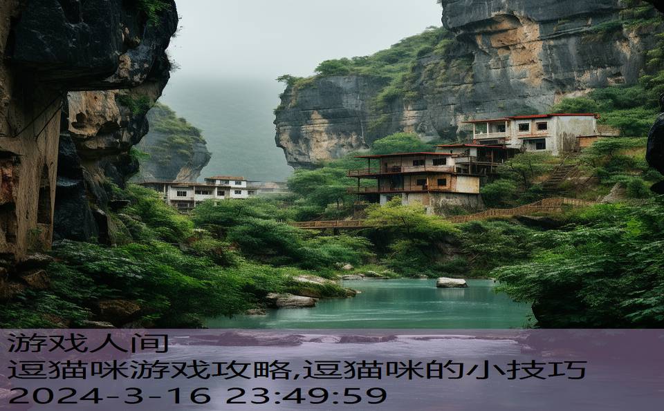 逗猫咪游戏攻略,逗猫咪的小技巧