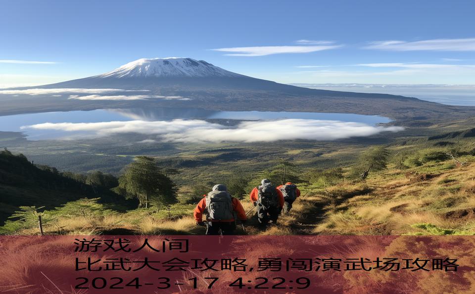 比武大会攻略,勇闯演武场攻略
