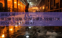 保卫萝卜攻略 57,保卫萝卜2攻略57关-游戏人间