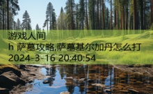 h 萨墓攻略,萨墓基尔加丹怎么打-游戏人间