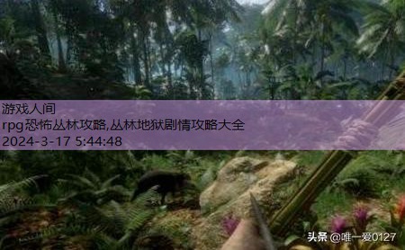 丛林地狱剧情攻略大全