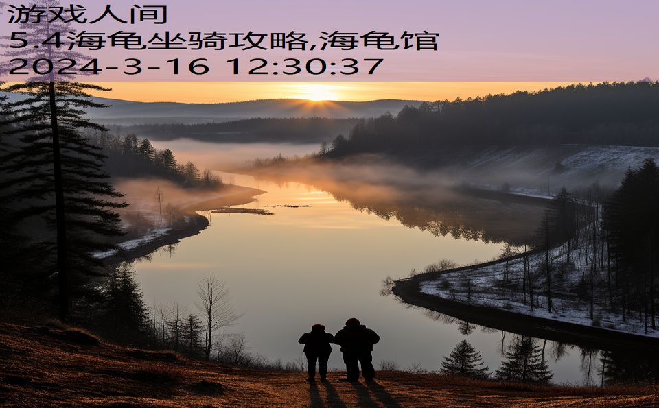 5.4海龟坐骑攻略,海龟馆