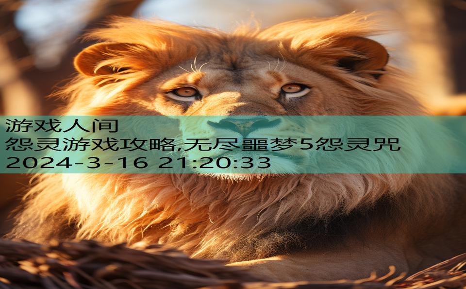怨灵游戏攻略,无尽噩梦5怨灵咒