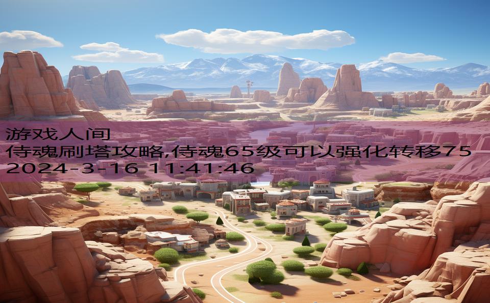 侍魂刷塔攻略,侍魂65级可以强化转移75