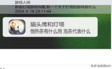 新版灯塔游戏攻略,有一个关于灯塔的游戏是什么-游戏人间