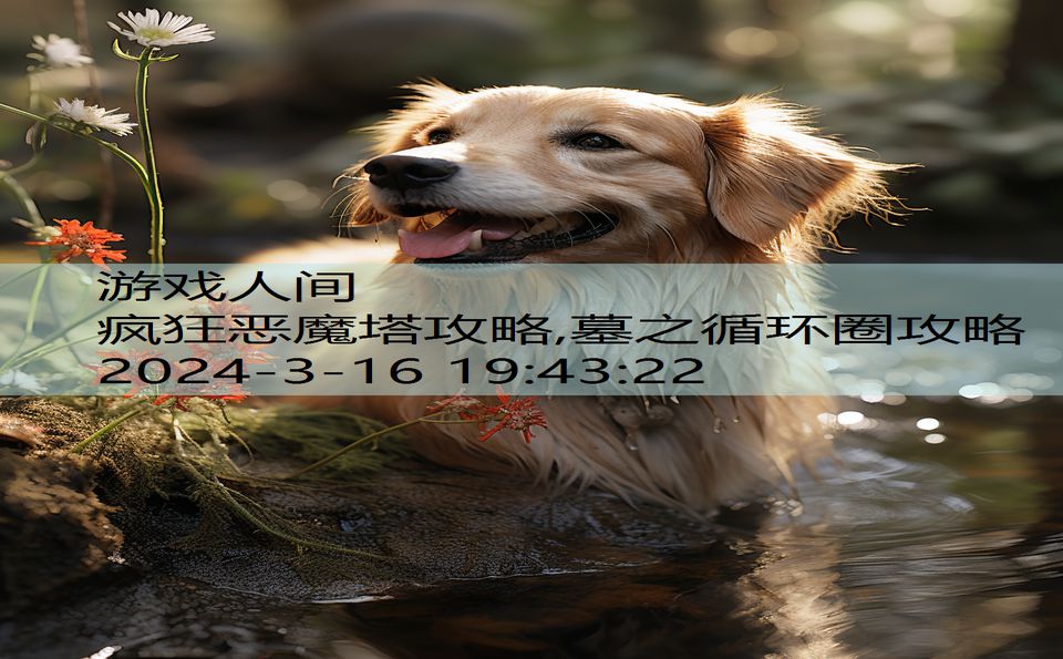 疯狂恶魔塔攻略,墓之循环圈攻略