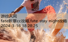fate新章cc攻略,fate stay night攻略-游戏人间
