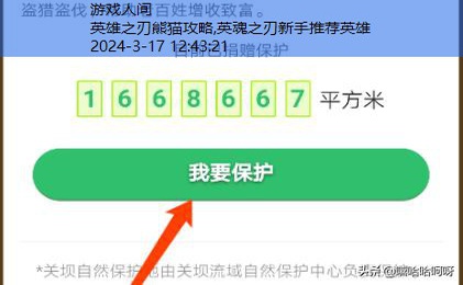 熊猫守护者怎么才能获得证书啊