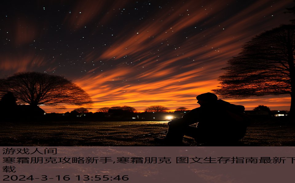 寒霜朋克攻略新手,寒霜朋克 图文生存指南最新下载