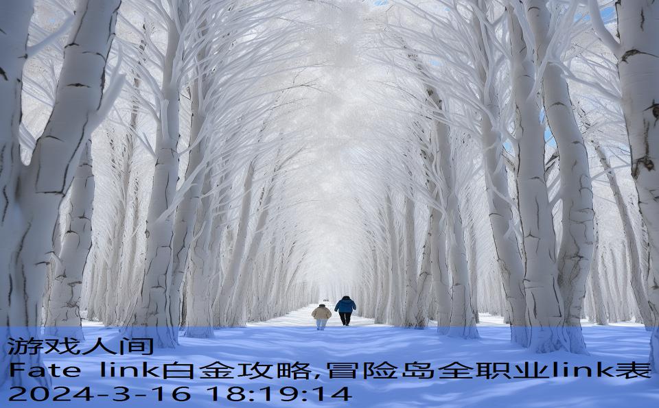 Fate link白金攻略,冒险岛全职业link表