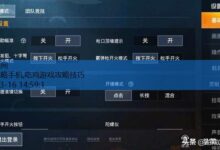 吃鸡攻略手机,吃鸡游戏攻略技巧-游戏人间